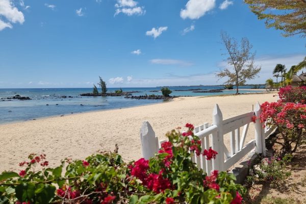 Biens récents à louer